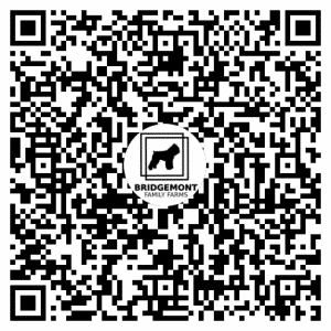 QR_Code_Bridgemont_Contact